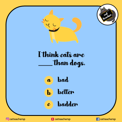 I think cats are better than dogs 1