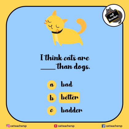 I think cats are better than dogs 2