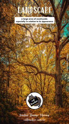 describing pictures 5