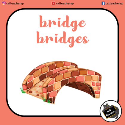 neighborhood singular-plural13