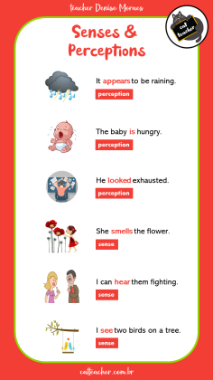 stative verbs 5