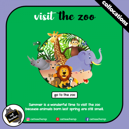 visit the zoo 1