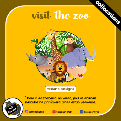 visit the zoo 2
